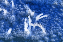 ��Ҷ˪��ѩ��