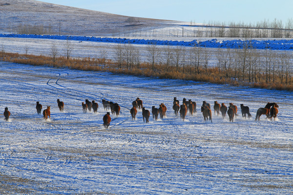 ����������Ⱥ