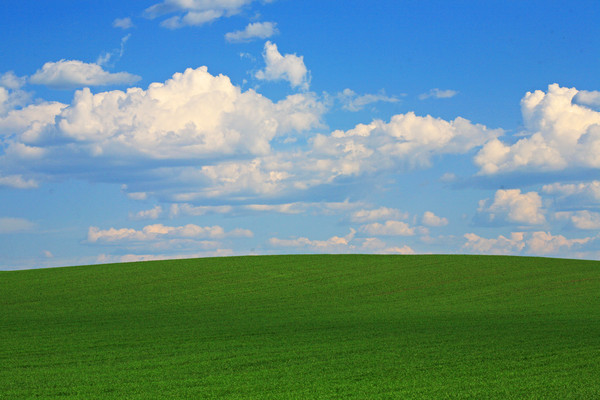 ��ɫԭҰ��԰��� 