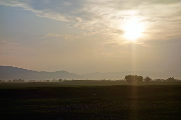 ��⻧����Ӱ