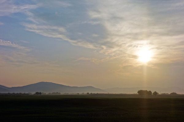 ������԰�����Ӱ