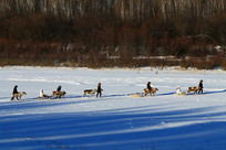 ����ʹ��ѱ¹����Ǩ�� 