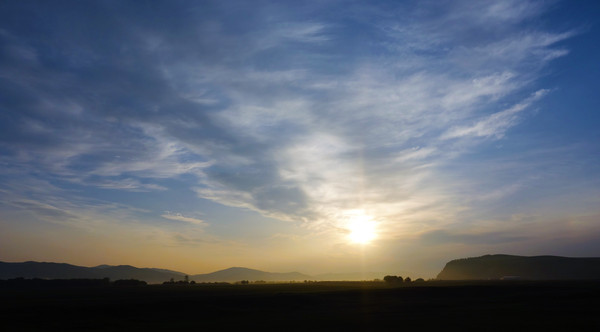 ��԰�����Ӱ