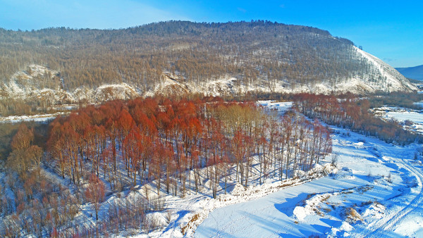 �ֺ�ѩԭ�������� �����ģ�