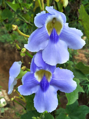 �˲���֮�������