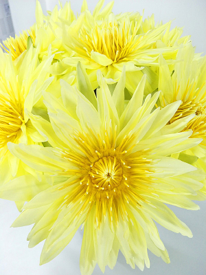 ��ˮ����֮�����˱�