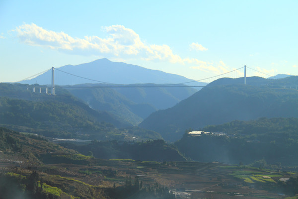 ׳�۵���������