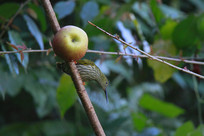 ��ƻ�����Ʊ�������