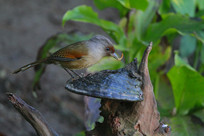 �𵽳��ӵ�����߳���