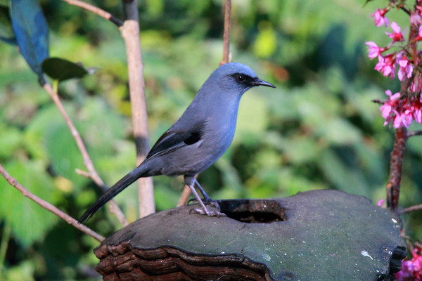 ��������ɫ����