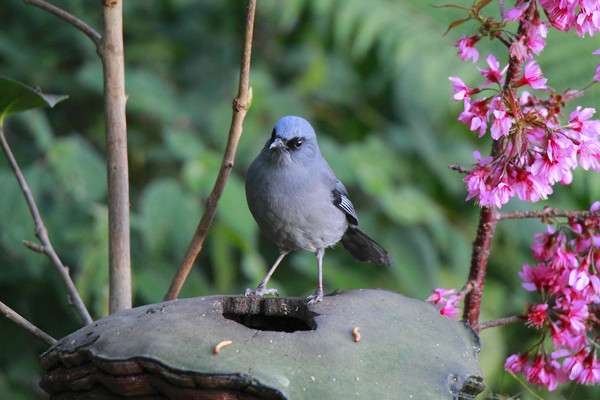 ��������ɫ����