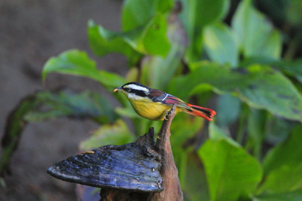 ׽��Ļ�βϣ��