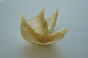 յ