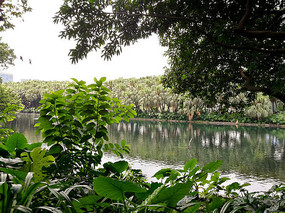 ������������԰����