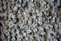 �^ͷ����ʯ 