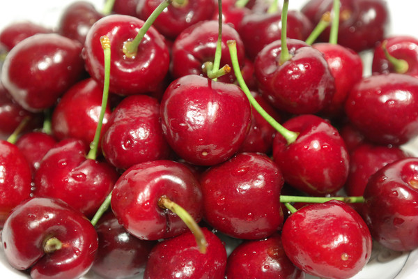 �����Ӵ�ӣ��