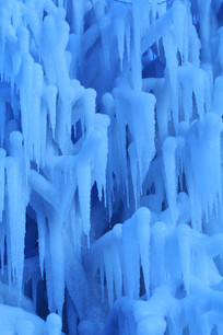 ������֦�������