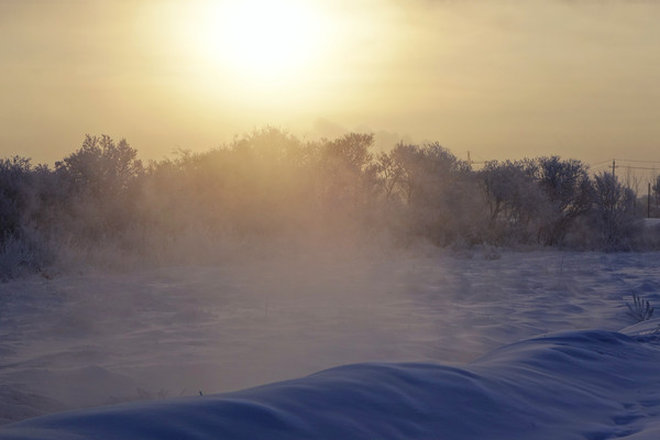 ������ڡ����