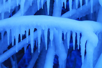 ��֦��������