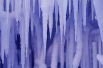 ��֦�����ı���