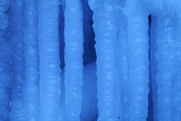 ��֦����