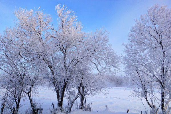 ��ڡ����