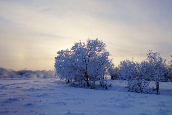 ѩҰ���� ������ڡ 