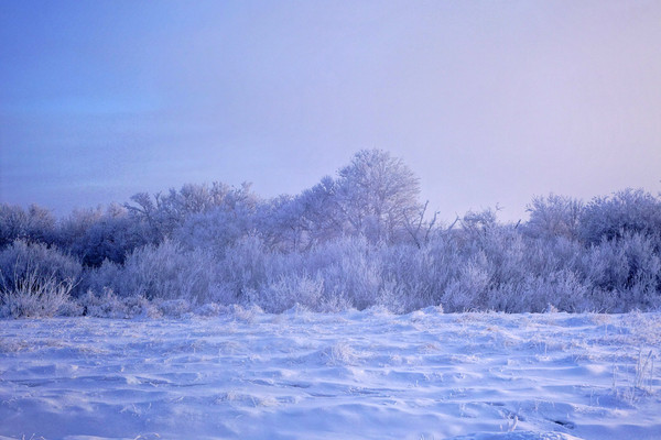 ѩҰ���ֱ�ѩ���