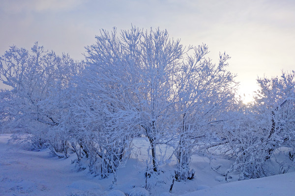 ѩҰ���ַ��