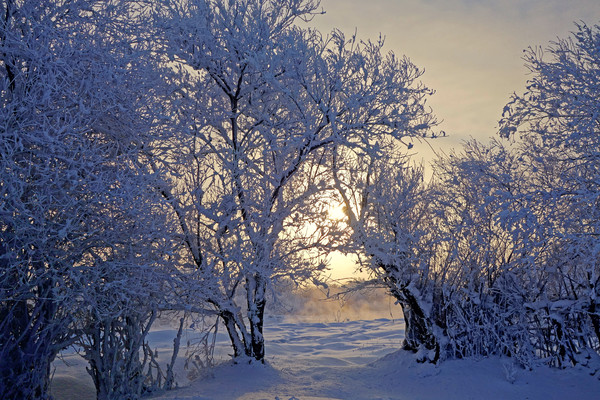 ѩҰ���� ��ڡ����