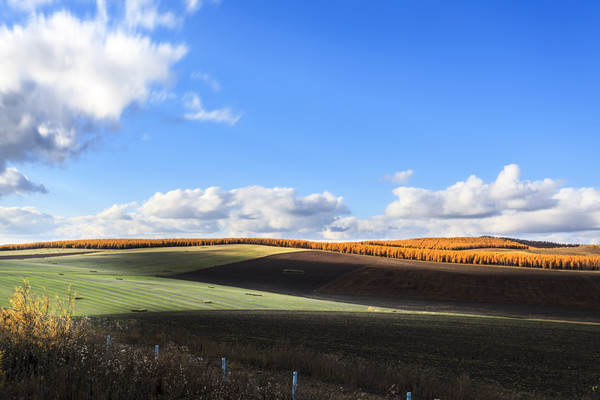 �＾��ԭ���� 