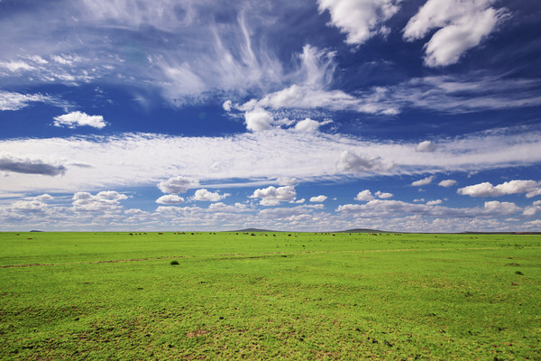 ��������ɲ�ԭ����