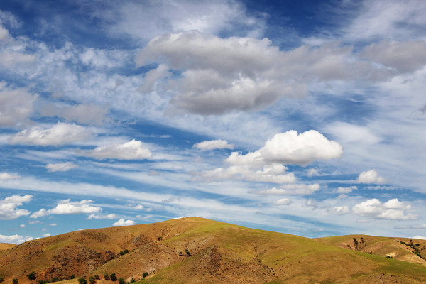 ���ɹ������µĲݳ�