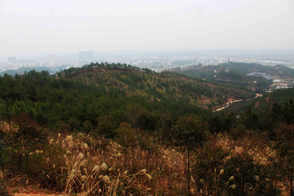 һ��һ��ɽ��