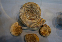 ��������ʯ 