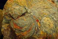 ���弣��ʯ�걾 