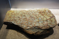 ���ѿ�ʯ�걾 