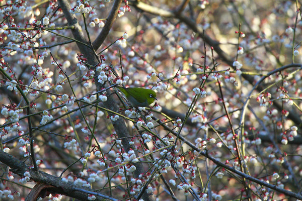 ������Ϣ�ĻҸ�������