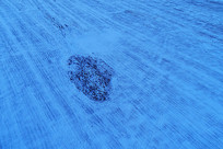 ��ɫ����Ұѩ�� �����ģ� 