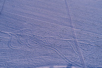 ��Ұѩ�� ����ͼ�� �����ģ� 