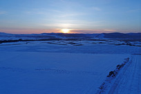 ��Ұѩ��ĺɫ���� 