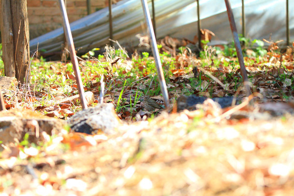 αװ���ֵ�С�c