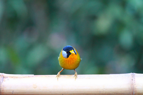 ����ϵ�������˼��