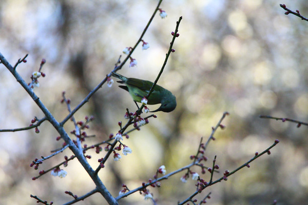 ��̬�����Ĳ�β̫����