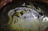 ���������������� ��ʯ 