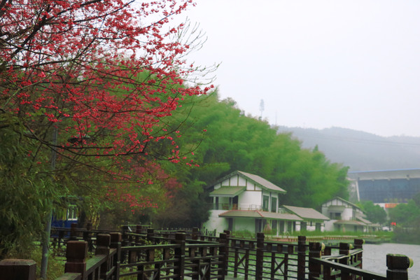 �����һ�ׯɽɫ