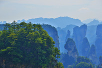 �żҽ��ò���