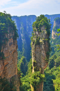 �żҽ����ɭ�ֹ�԰ʯ��