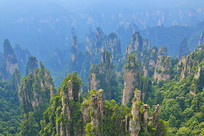 �żҽ�������ɽ��