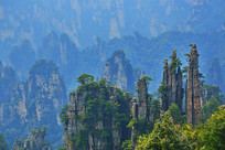 �żҽ�ɽ����